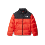 THE NORTH FACE 1996 Retro Nuptse 700