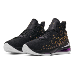 Nike Lebron 17 17