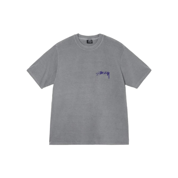 Stussy Arachnid Tee Pigment Dyed T