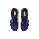 Asics GEL-Nimbus 25