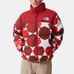 THE NORTH FACE Retro Nuptse 700