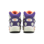 PUMA Disc System Weapon Discstory