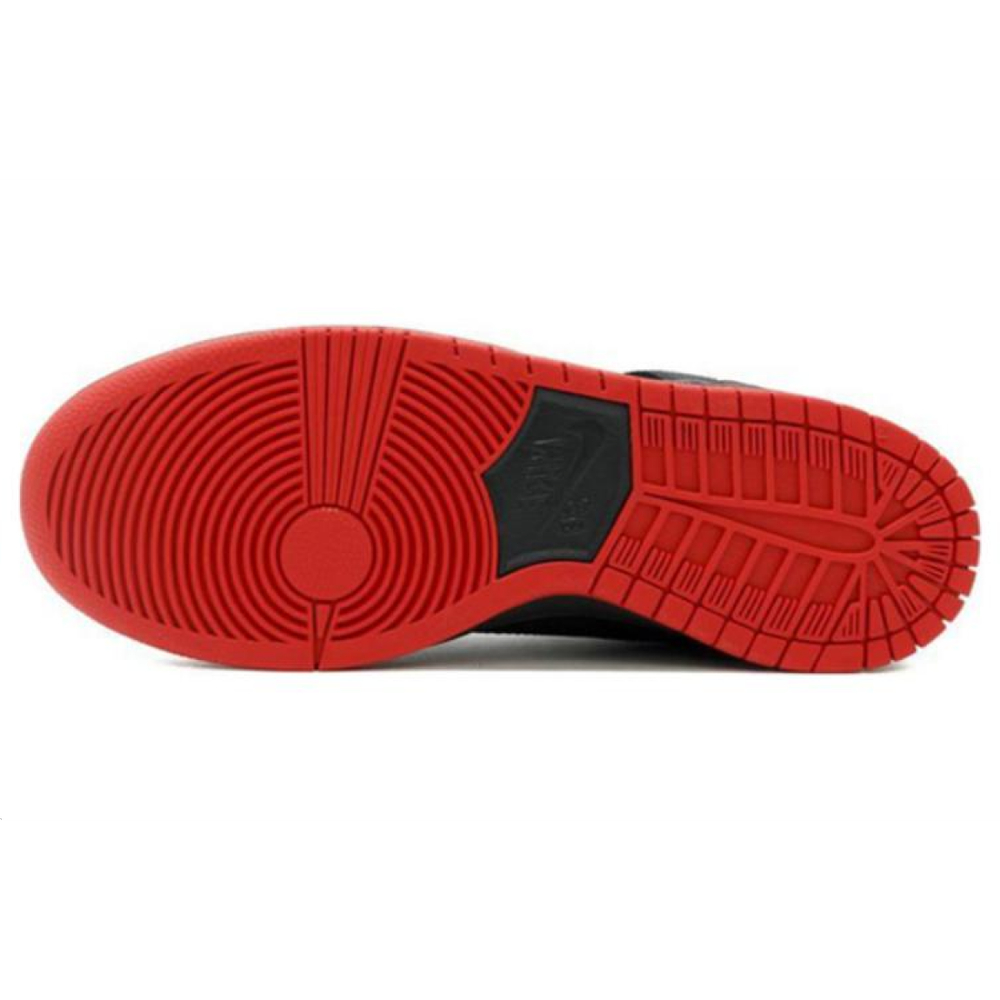 Nike Dunk SB Spot Gasparilla