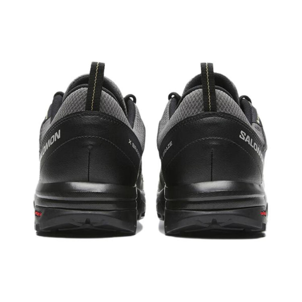 SALOMON X Braze GTX