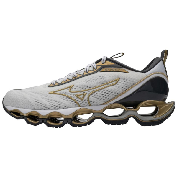 Mizuno Pro