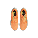 Nike Air Zoom Pegasus 39