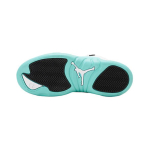 Jordan Air Jordan 12