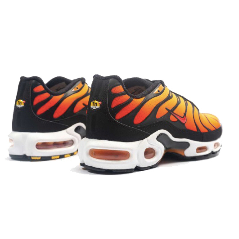 Nike Air Max Plus