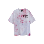ICONS Lab T