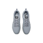 Anta