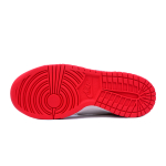 【 】 Nike Dunk Low GS