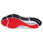 Nike Pegasus 37