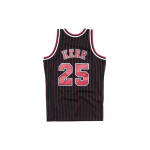 Mitchell & Ness SW NBA 95-96 25