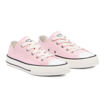 Converse Chuck Taylor All Star Low Top