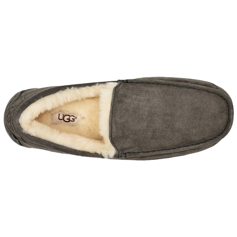 UGG Ascot Slipper