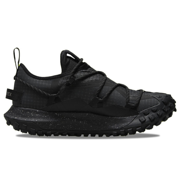 Nike ACG Mountain Fly Low GTX SE