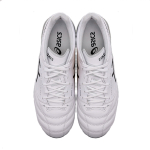 Asics DS LIGHT X-FLY 5 FG（ ）