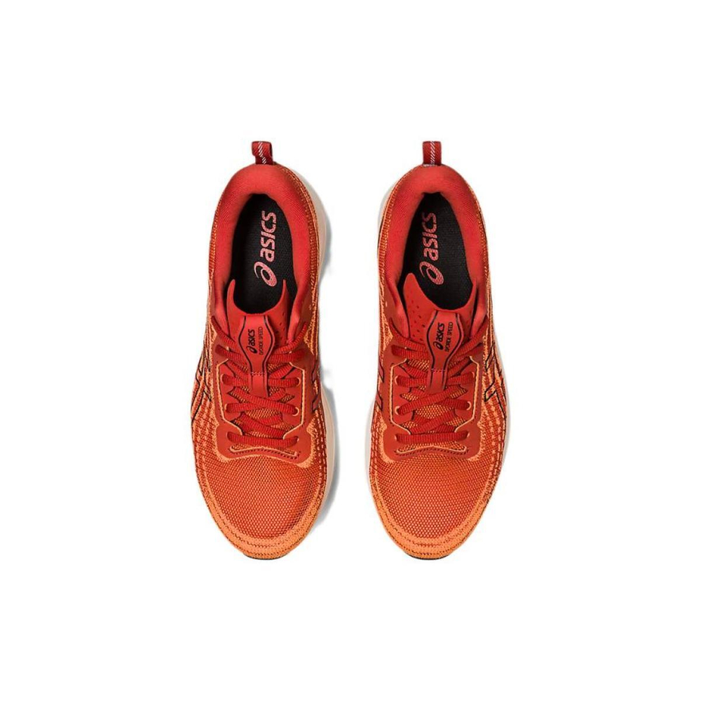Asics EvoRide
