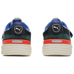 PUMA Cgr Ader Error