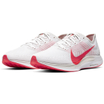 Nike Pegasus turbo 2