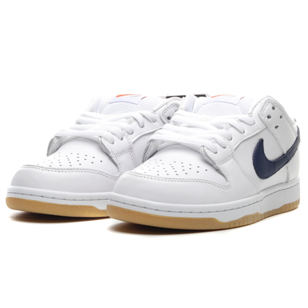 Nike Dunk SB Pro