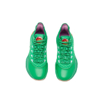 Anta GH1 GH-1