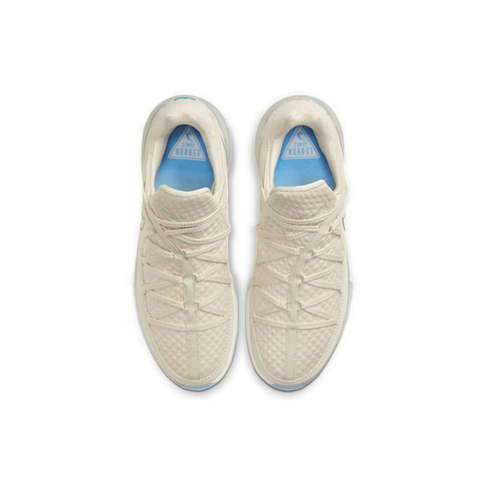 Nike Lebron 17 Low EP 17