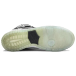 Nike Dunk SB Salt Stain