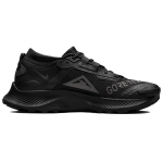 Nike Pegasus Trail 3 GTX