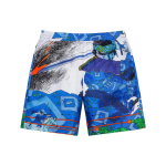 Supreme SS23 Week 1 RONIN SILK SHORT