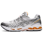 Asics Gel-Kayano 14