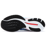 Mizuno Wave Rider 26