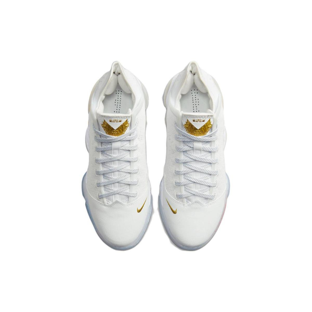 Nike Lebron 19