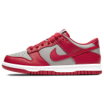 【 】 Nike Dunk