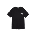 Stussy Falls Tee T