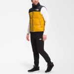THE NORTH FACE 1996 Retro Nuptse 700