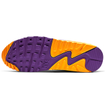 Nike Air Max 90 Viotech