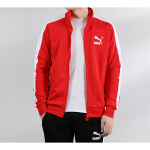 Puma Iconic