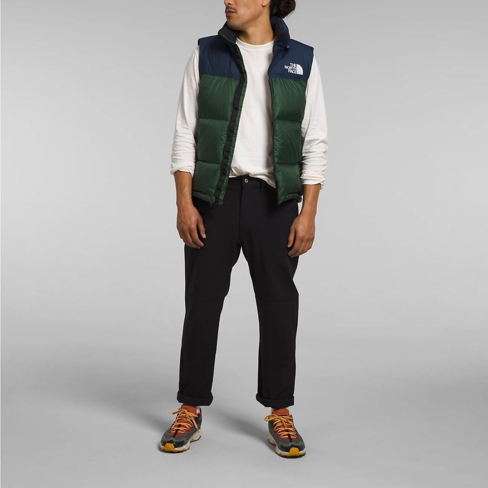 THE NORTH FACE FW22 1996 Retro Nuptse 700