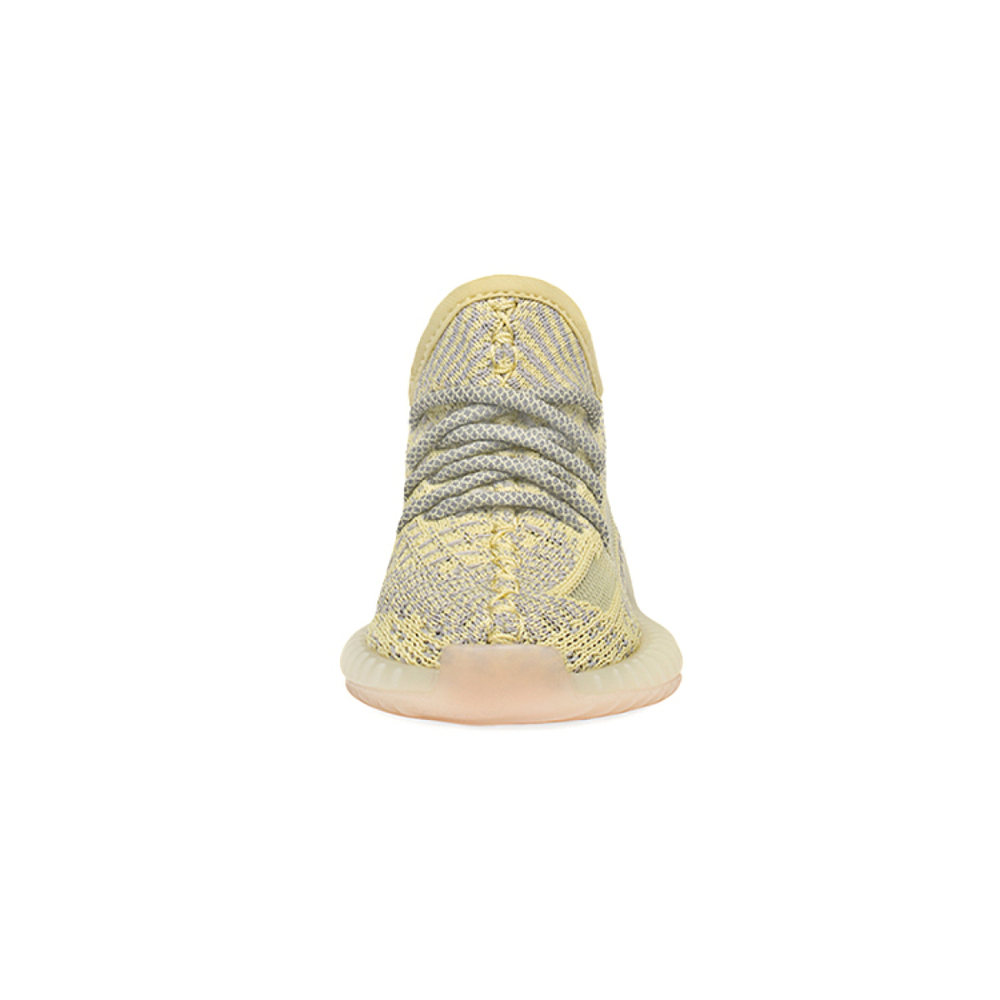 Adidas originals Yeezy Boost 350 V2 "Antlia"