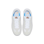 Nike SB FC Standard