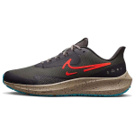Nike Air Zoom Pegasus 39