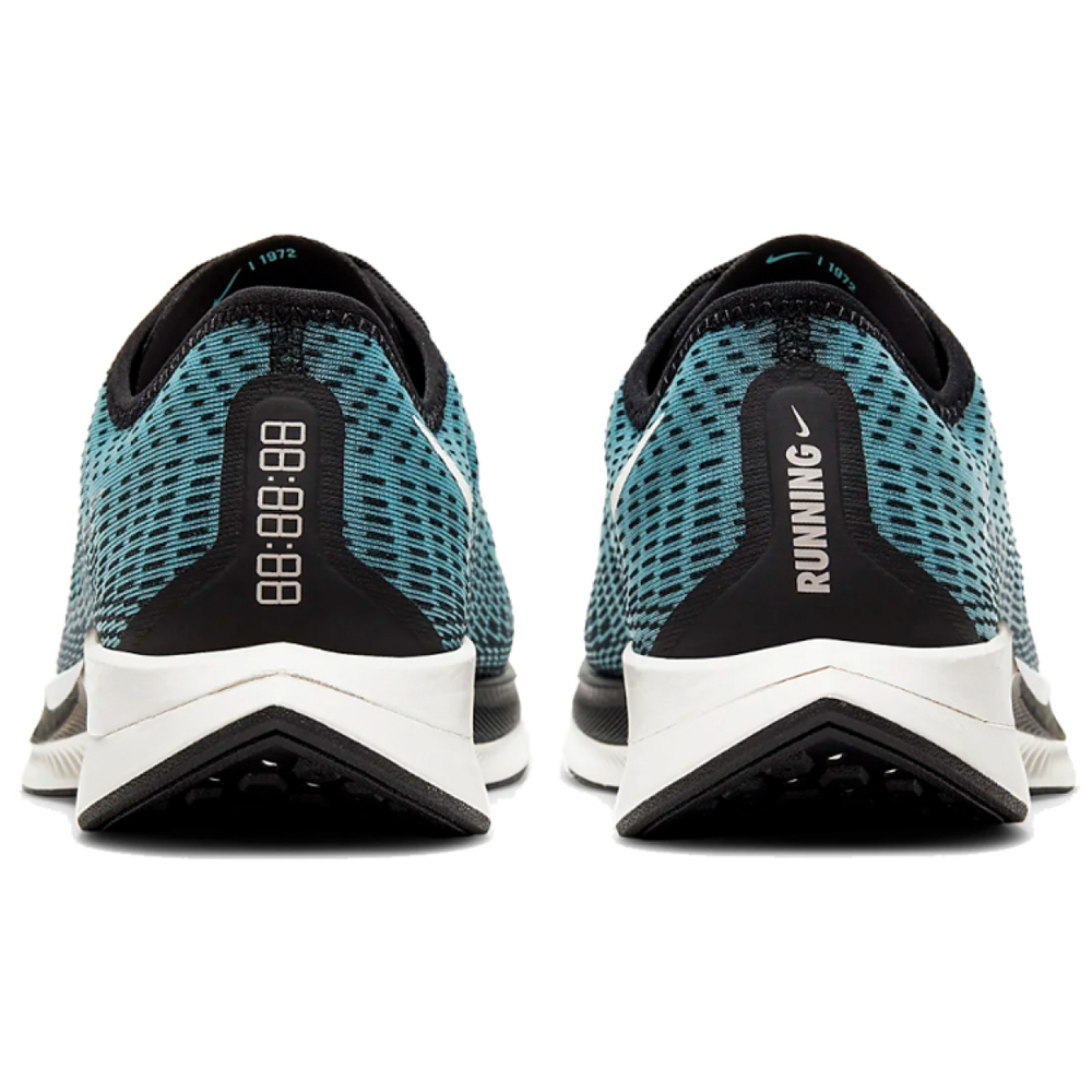 Nike Pegasus turbo 2