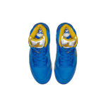 Jordan Air Jordan 5 laney 2019 2019