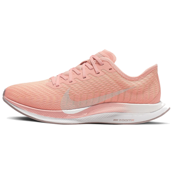 Nike Pegasus turbo 2 Logo