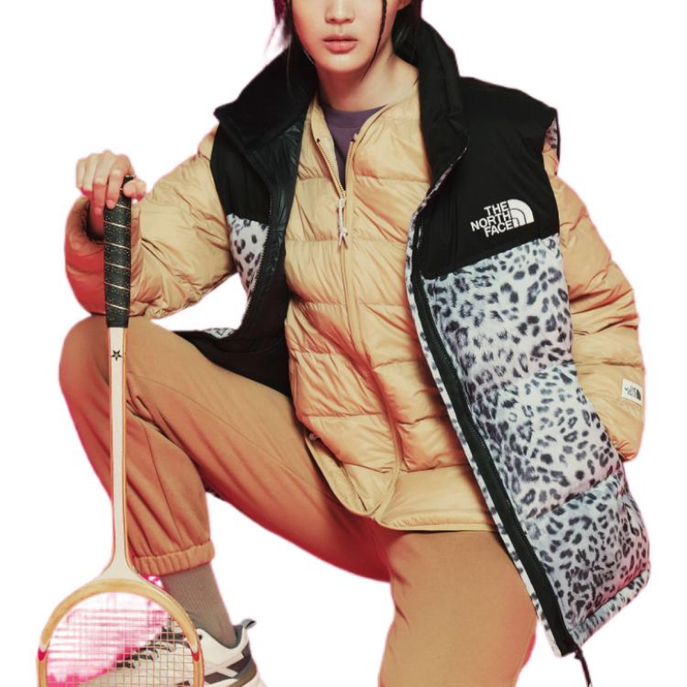 THE NORTH FACE