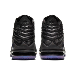 Nike Lebron 17