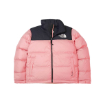 THE NORTH FACE 1996 Retro Nuptse 1996 700