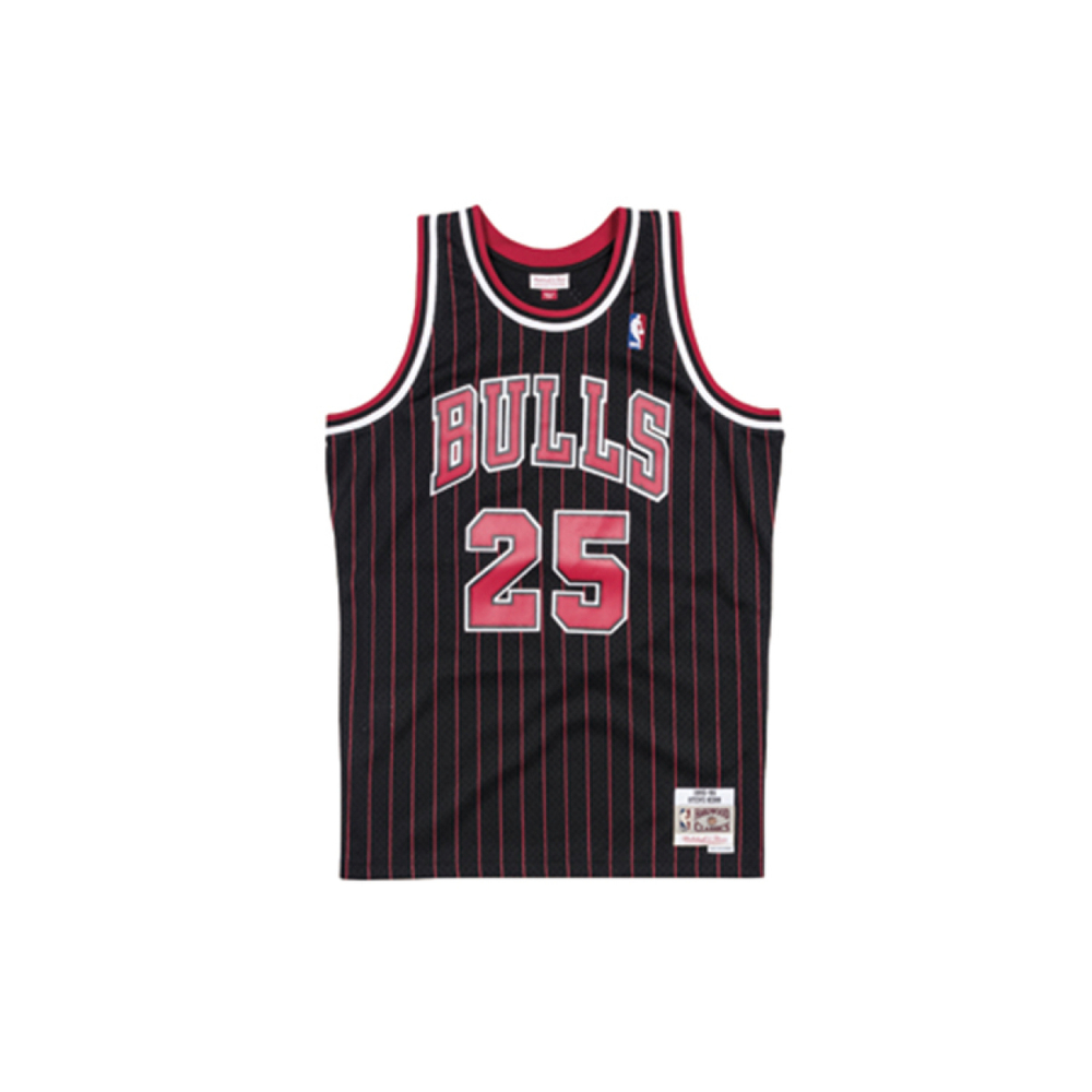 Mitchell & Ness SW NBA 95-96 25