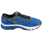 Asics GEL-Nimbus 21
